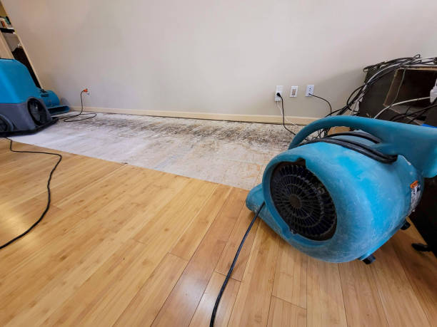Professional Water Damage Repair technician working in Souderton, PA